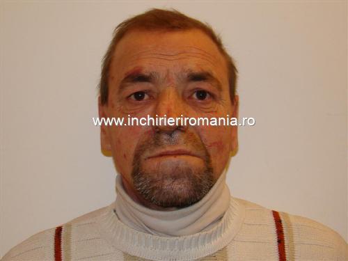 Echipa de meseriasi in lucrari interioare