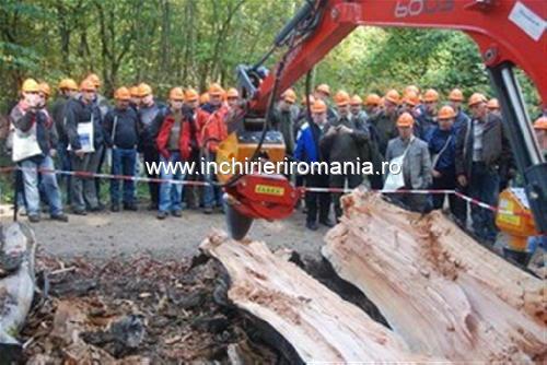 Inchirieri Masini si utilaje industriale