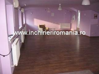 Victoriei apartament open space in vila